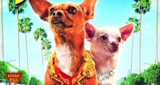 Chihuahua de Beverly Hills (Le) : Affiche officielle