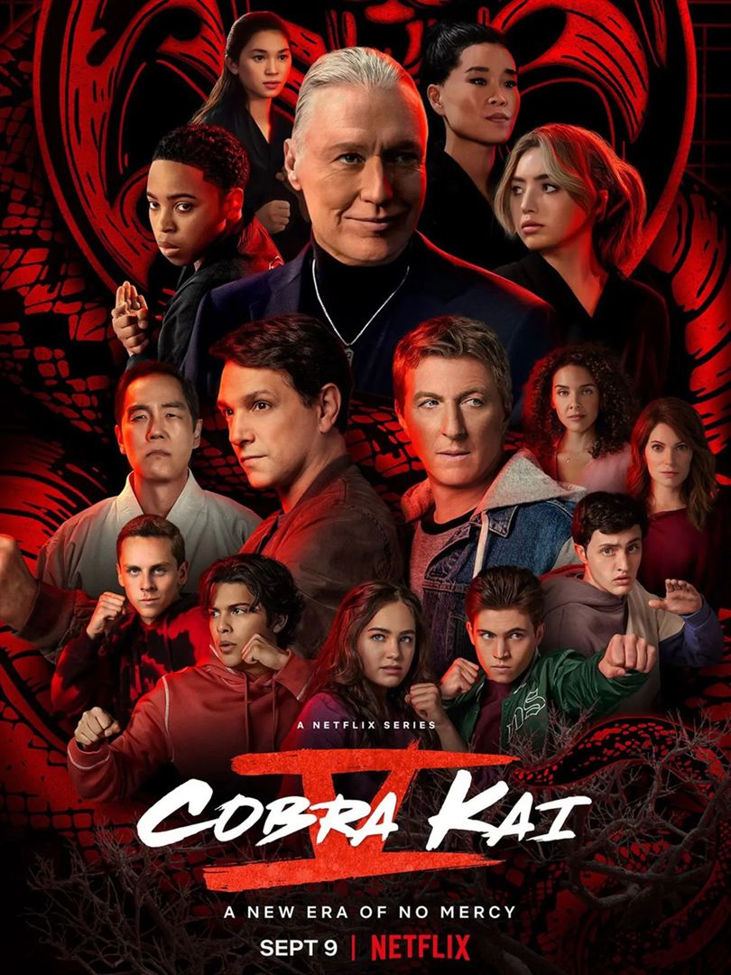 Cobra Kai 續集：Netflix 會出第六季嗎？