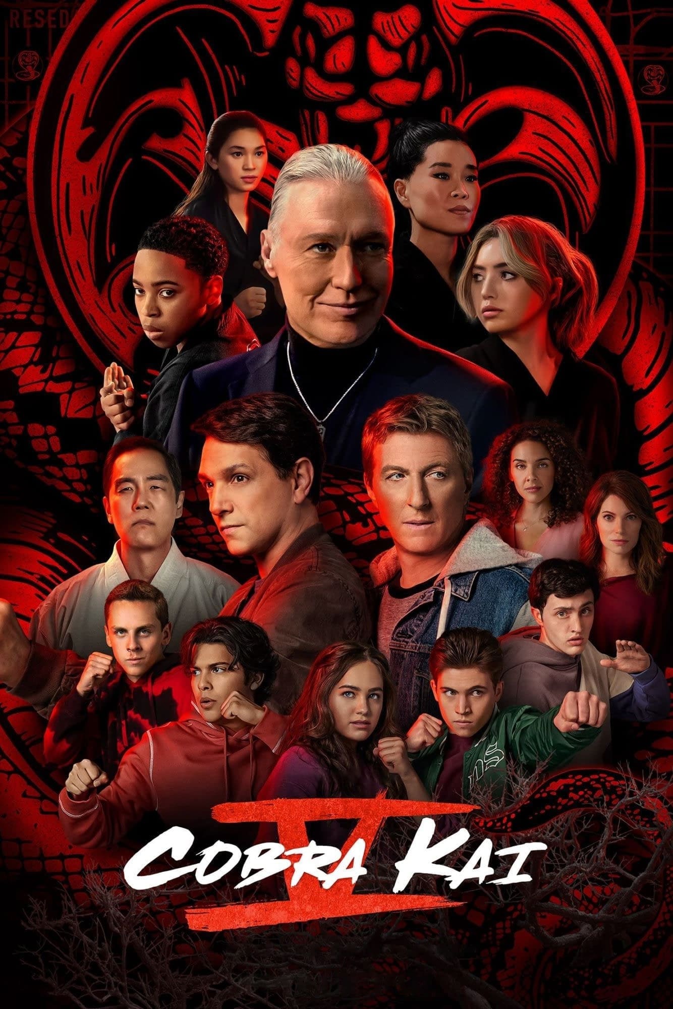 照片 Cobra Kai Saison 4